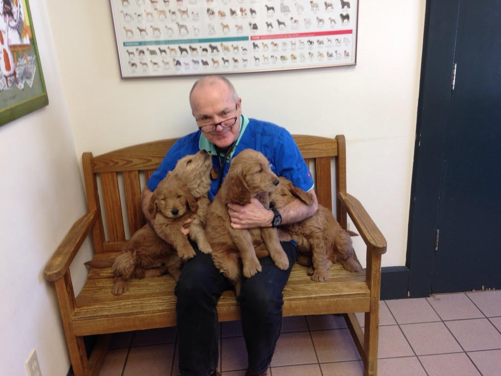 Animal Doctor of Weston Veterinarian serving Weston, Westport and